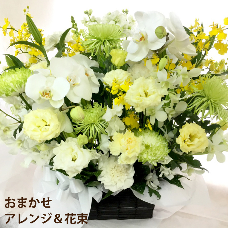 fm-004b-02a.jpg