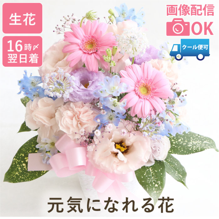 花 プレゼント あの人が元気になれそうな フラワーアレンジ AA 退院祝い 花束 快気祝い 生花 アレンジメント お見舞い お花 女性 ギフト 母 祖母 | 