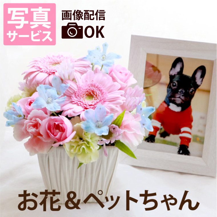 ペット お盆 初盆 新盆 お供え 花 供花 星になったあの子へ AA 生花 写真立て セット お悔やみ 送る フラワーアレンジメント 供花 お花 ギフト 犬 猫 命日 仏花｜FLEGRE 2号店