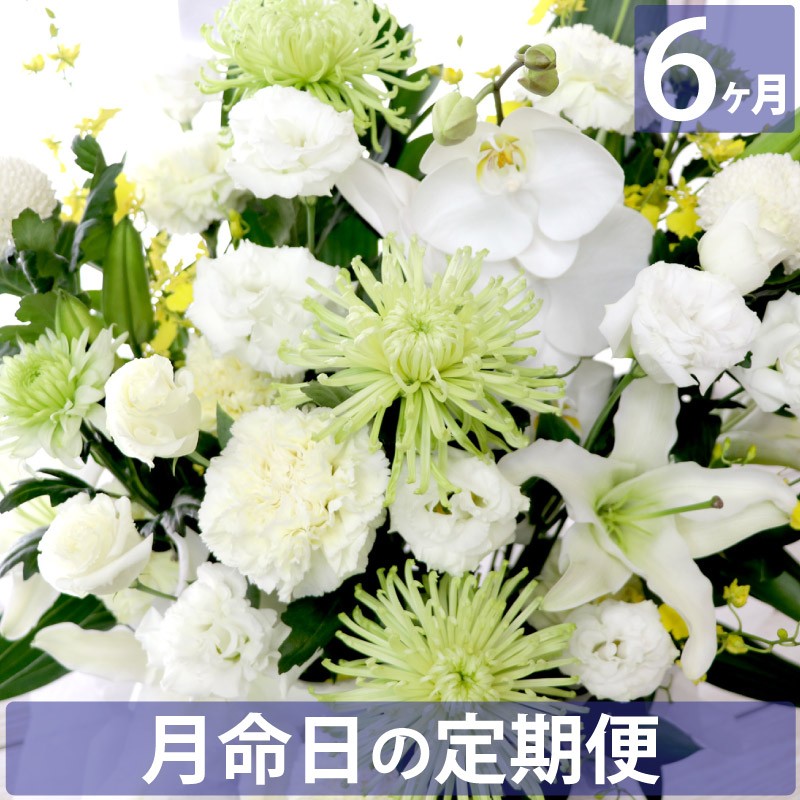 お供え 花 供花 仏花 花束 定期便 月命日 虹コース3ヶ月 お悔やみ 生花