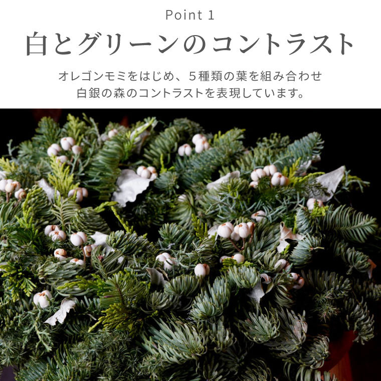 クリスマス 玄関飾り 生花 ナンキンハゼの白銀フレッシュリース 30cm