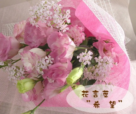 7日前予約品 お見舞い 花 花言葉 希望 トルコキキョウ 花束 生花 アレンジメント 退院祝い 快気祝い プレゼント 誕生日 お花 ギフト 女性 母 祖母 Jgiouooger B A I Com