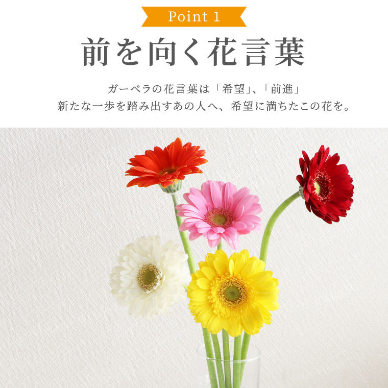tubo-standbouquet-2.jpg