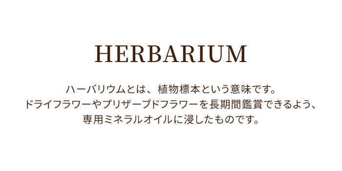 花 ハーバリウム 桜 女性 サクラノカタチ プレゼント ギフト 白寿 百寿  50代 60代 70代 80代 退職祝い 誕生日 結婚記念日 おしゃれ 還暦祝い 祖母｜marika｜14