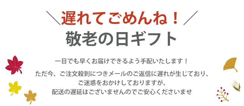 横浜花まりかフラワーギフト専門店 敬老の日19 ハーバリウム 敬老の日19 Yahoo ショッピング