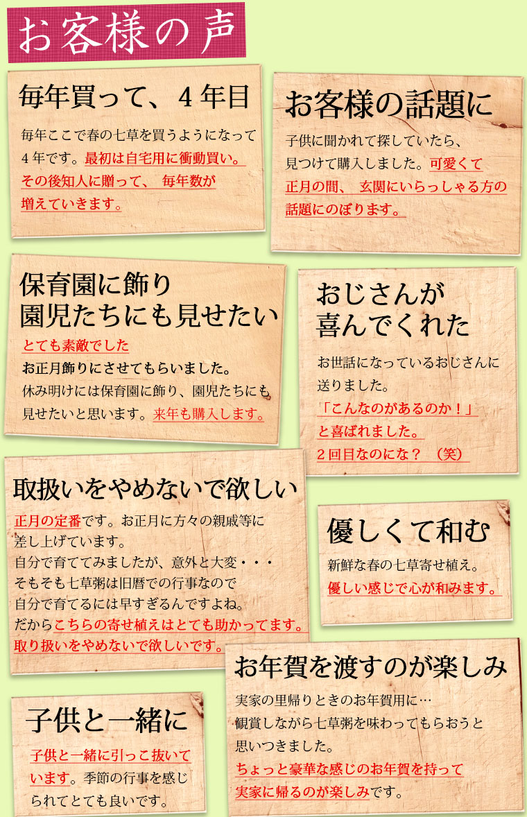 美しい芸術品 春の七草籠をお年賀 お歳暮に