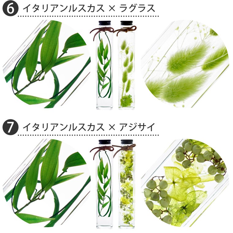 本物保証 父の日 プレゼント グリーン プランツ ハーバリウム 2本 ペアセット 観葉植物 おしゃれ 花 ギフト インテリア 誕生日 女性 男性 引っ越し祝い 友人 Auditorescac Es