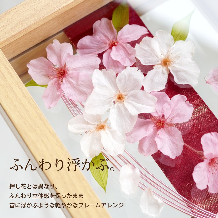 プリザーブドフラワー 和風 花 プレゼント 孫 舞桜 フレーム