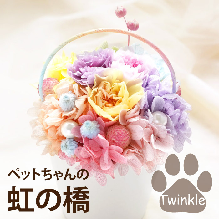 ペット お供え 花 虹の橋 トゥインクル お悔やみ 供花 プリザーブド