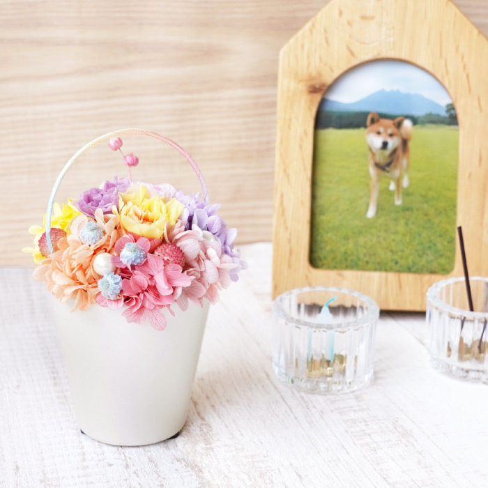ペット お供え 花 虹の橋 トゥインクル お悔...の詳細画像3