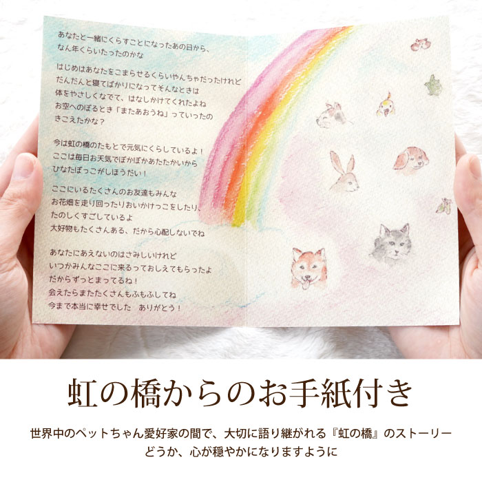 ペット お供え 花 虹の橋 トゥインクル お悔...の詳細画像5