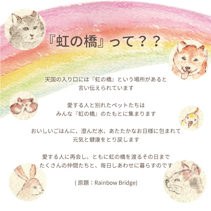 ペット お供え 花 お悔やみ 虹の橋ひまわりボ...の詳細画像3