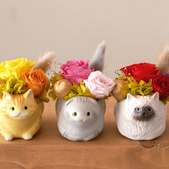 花 誕生日 プレゼント のんびり花にゃんこ プリザ プリザーブド 