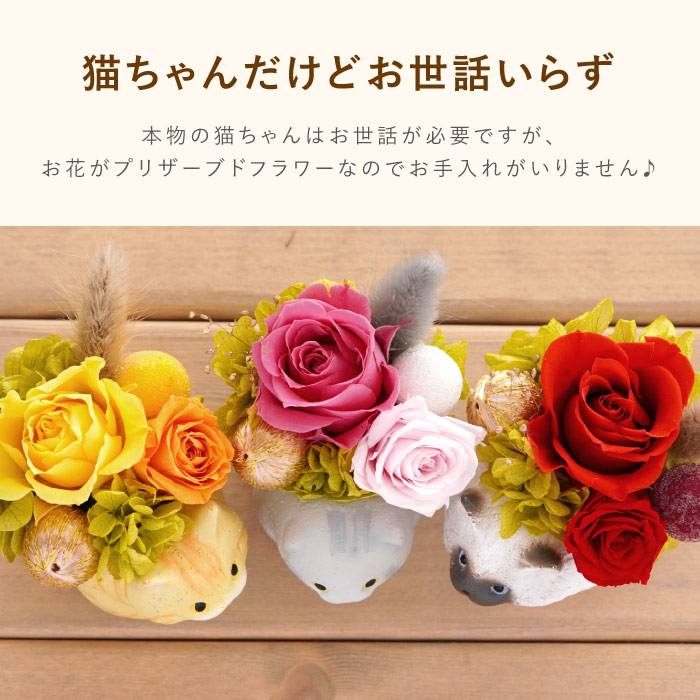 花 誕生日 プレゼント のんびり花にゃんこ プリザ プリザーブド  