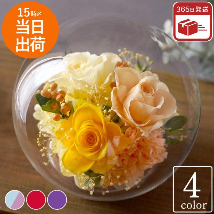 敬老の日 花 プレゼント 彩りバブルドーム プリザーブドフラワー 誕生日 お花 ギフト 女性 おしゃれ 退職祝い 母 祖母 結婚記念日 妻 還暦祝い 赤 枯れない花