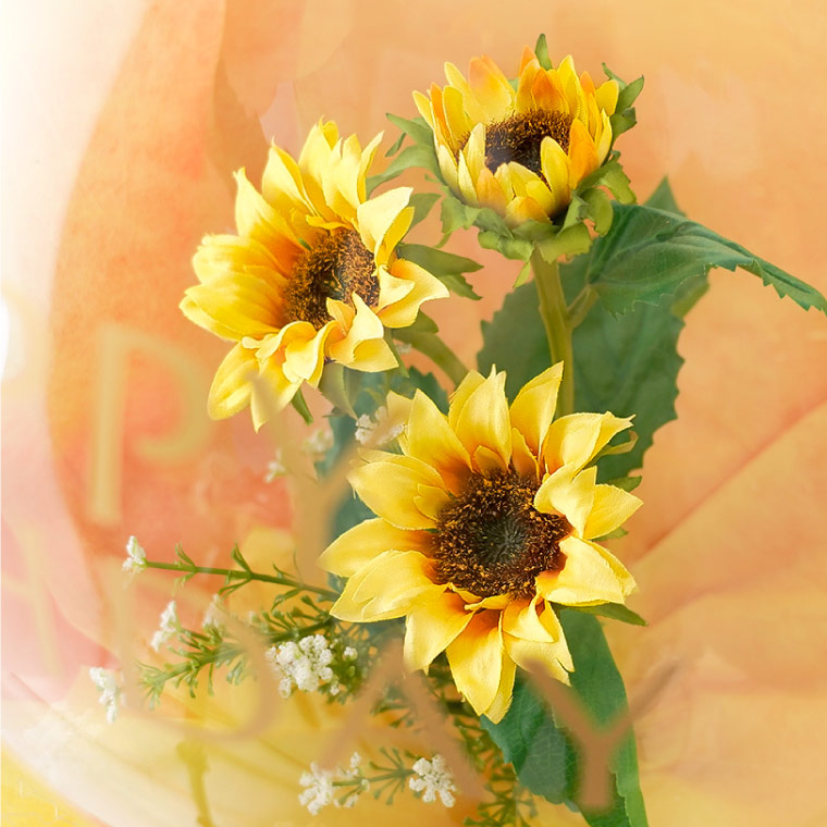 誕生日 プレゼント 花 バルーン フラワー 桜 花束 そのままバルーン