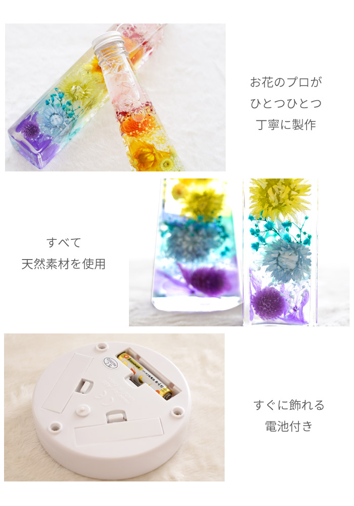 ペット お供え 花 虹の橋 ハーバリウム ＆ レインボー コースター