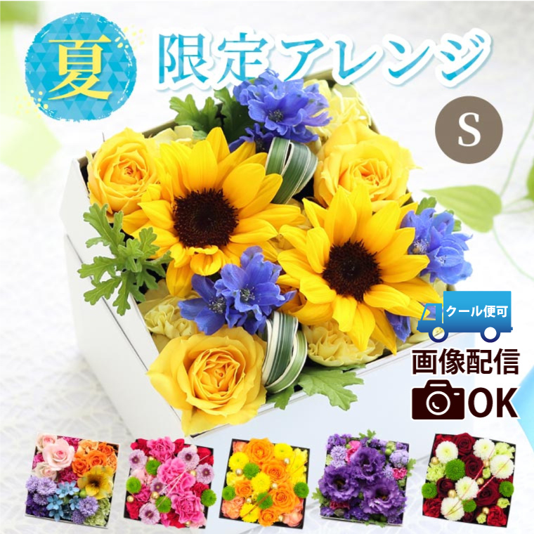 花 プレゼント ギフト サプライズボックスフラワー S 生花 ひまわり アレンジメント おしゃれ 誕生日 女性 40代 50代 60代 退職 母 還暦祝い 古希｜FLEGRE 2号店