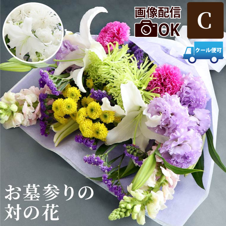 ފ    Q  C   ԑ t[ AW    49   d O 蕨