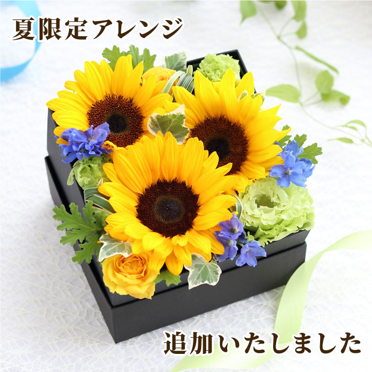 セブプラ Ama. 生誕2022 花かんむり 22/7 9th single 