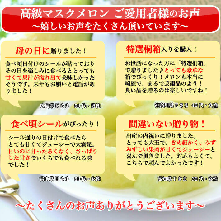 注目の 贈答用 高級ギフト箱 厳選マスクメロン 土佐の楽園 大玉 約1 5ｋｇ 2 お取り寄せ 母の日 最高級 ギフト フルーツ 果物 送料無料 新規購入 Altammamfactory Com Jo