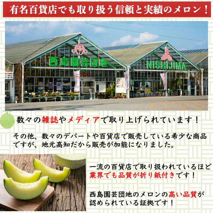 高知県産 高級マスクメロン 大玉(約1,5kg×2) 家庭用 フルーツ