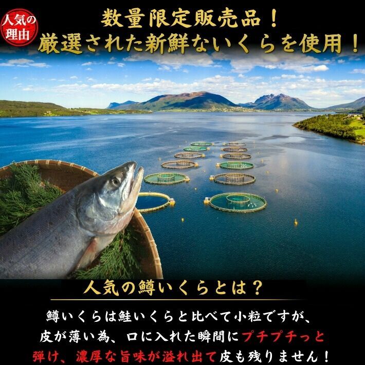 北欧サーモントラウト