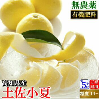 【24時間以内発送】高知県産 無農薬 約5kg 3L 無農薬 土佐小夏 有機肥料 家庭用 5kg 高知県産 2L-L 混合 高