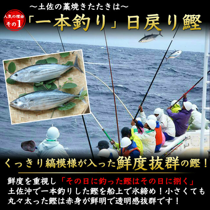 鰹の一本釣り