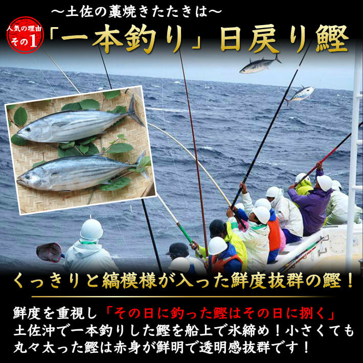 鰹の一本釣り