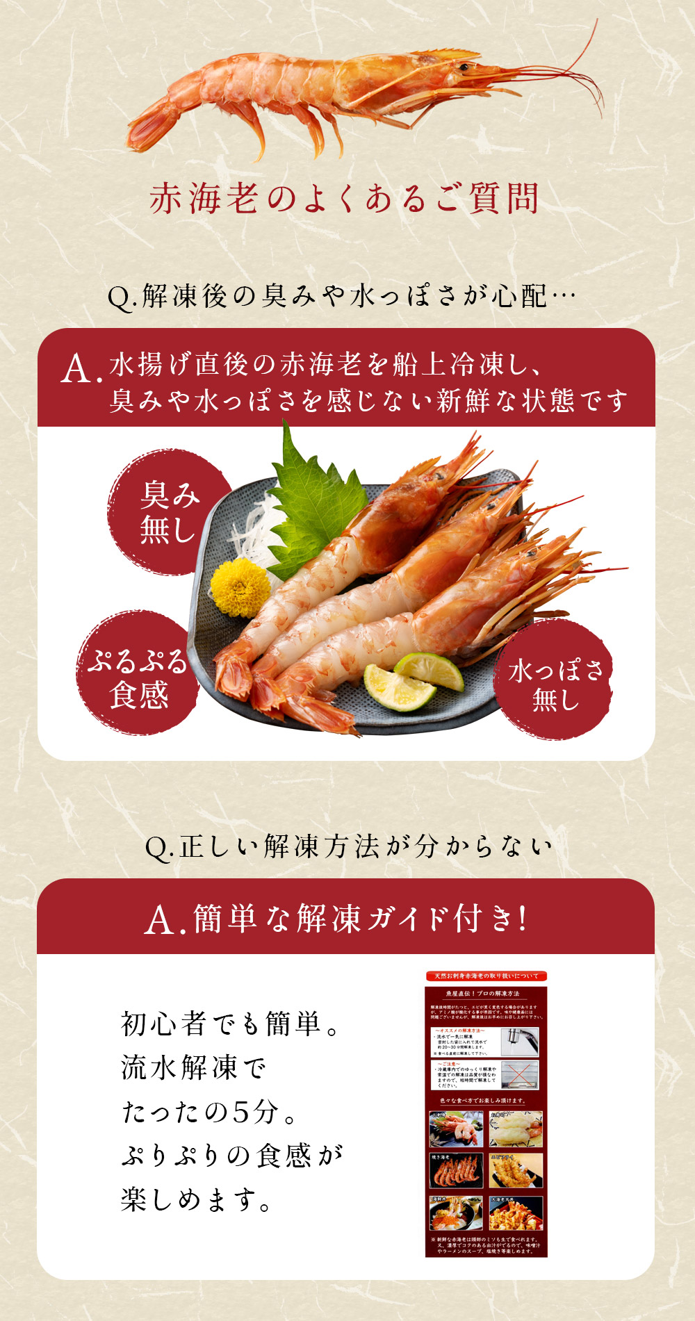 期間限定セール開催中！今だけお得なアルゼンチン赤エビ