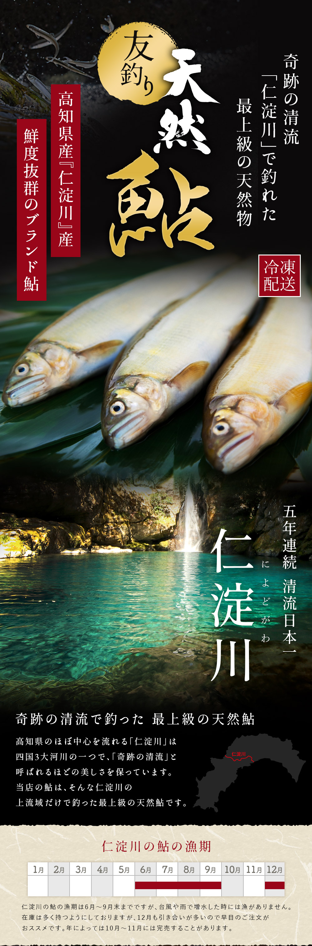 仁淀川の天然鮎