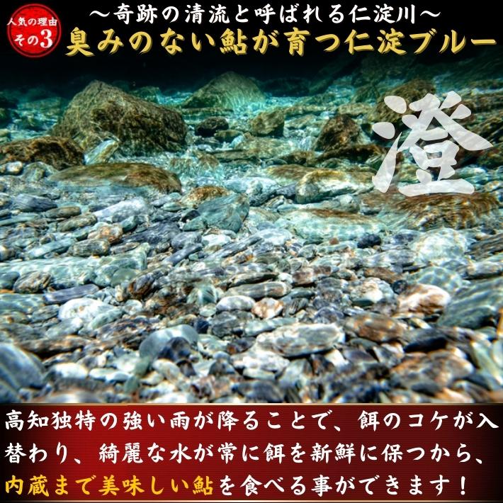 臭みのない鮎が育つ川