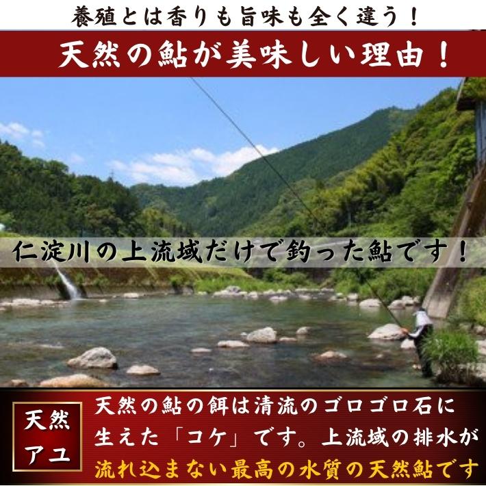 天然の鮎が美味しい理由