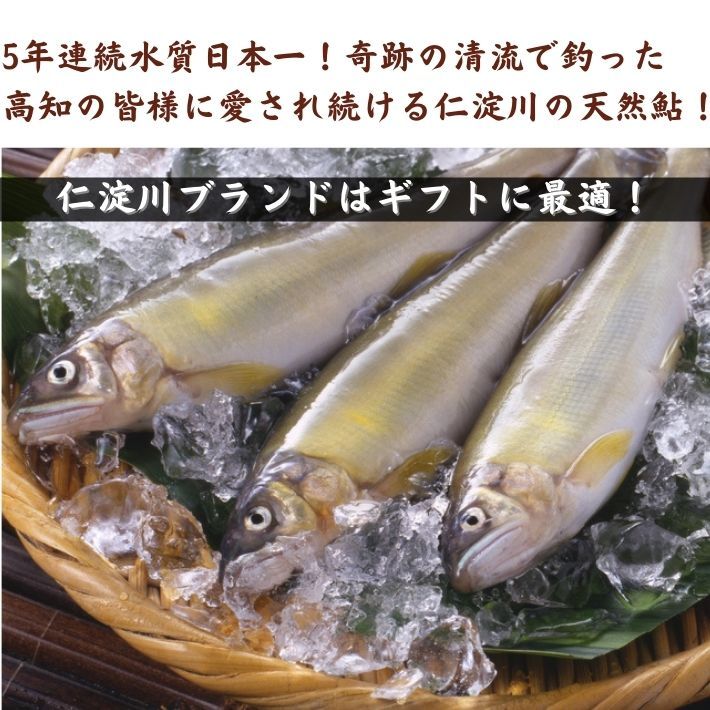 仁淀川天然鮎