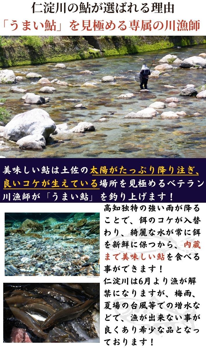 川漁師の友釣り鮎