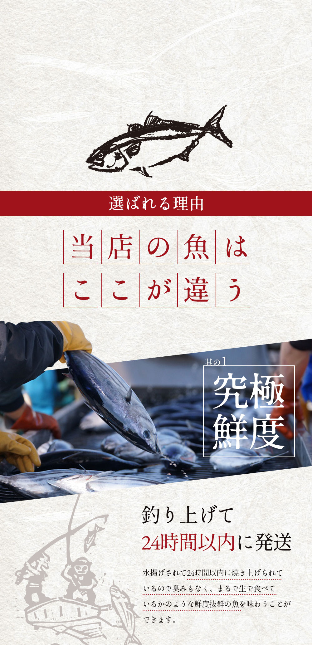 釣り上げて24時間以内に焼き上げるカツオのタタキ