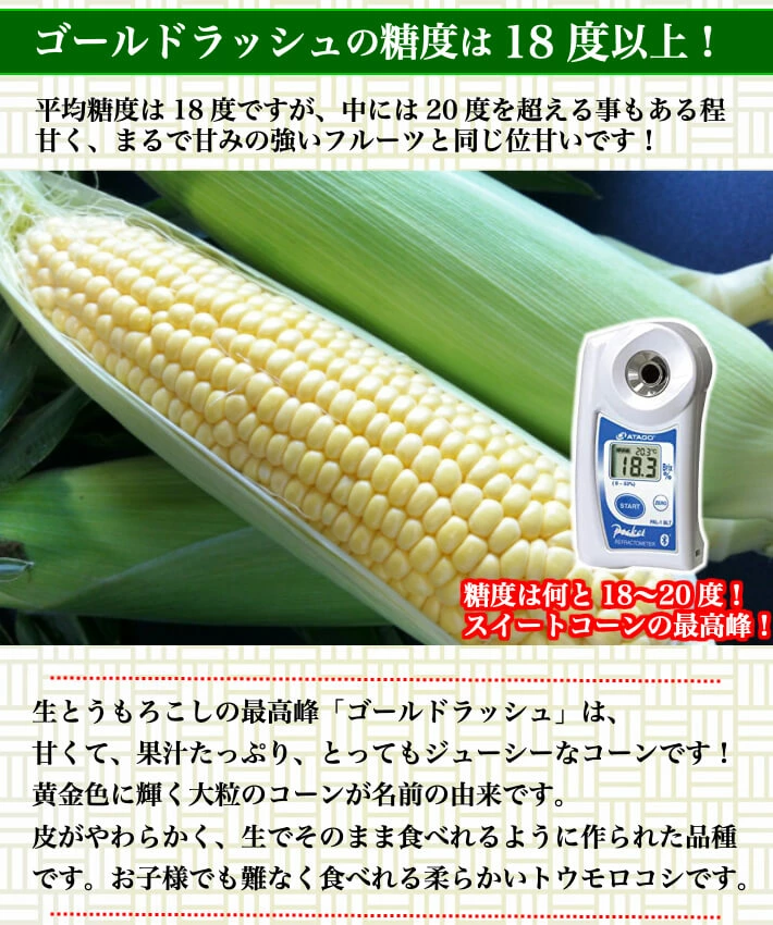 糖度18度 ゴールドラッシュ 生とうもろこし A等級 約4,5kg (11-15本