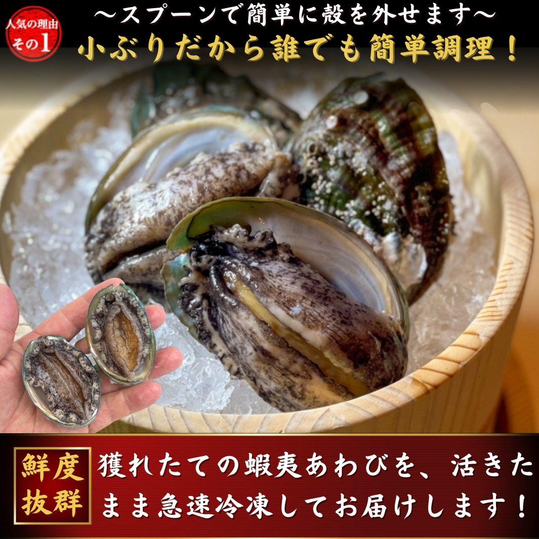 お刺身 蝦夷あわび アワビ たっぷり1kg（約30個入）活冷凍