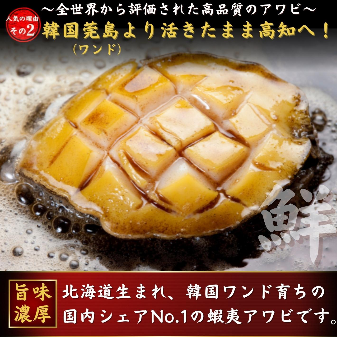 養殖活アワビ80(1キロ)】（殻長約85ミリ-約80g) - 活鮑（あわび