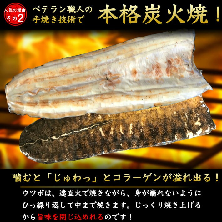 活き〆うつぼ
