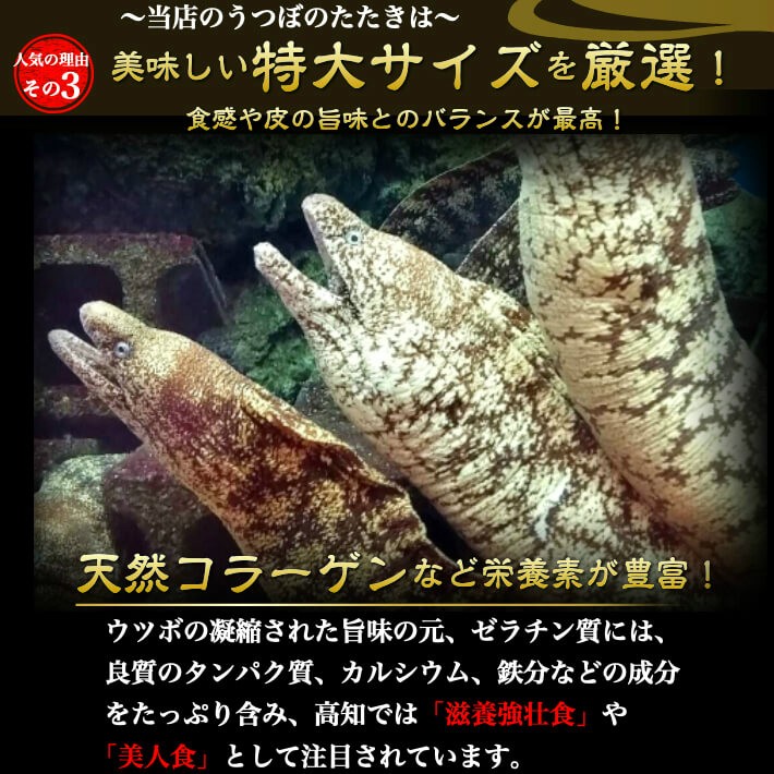 特大サイズ