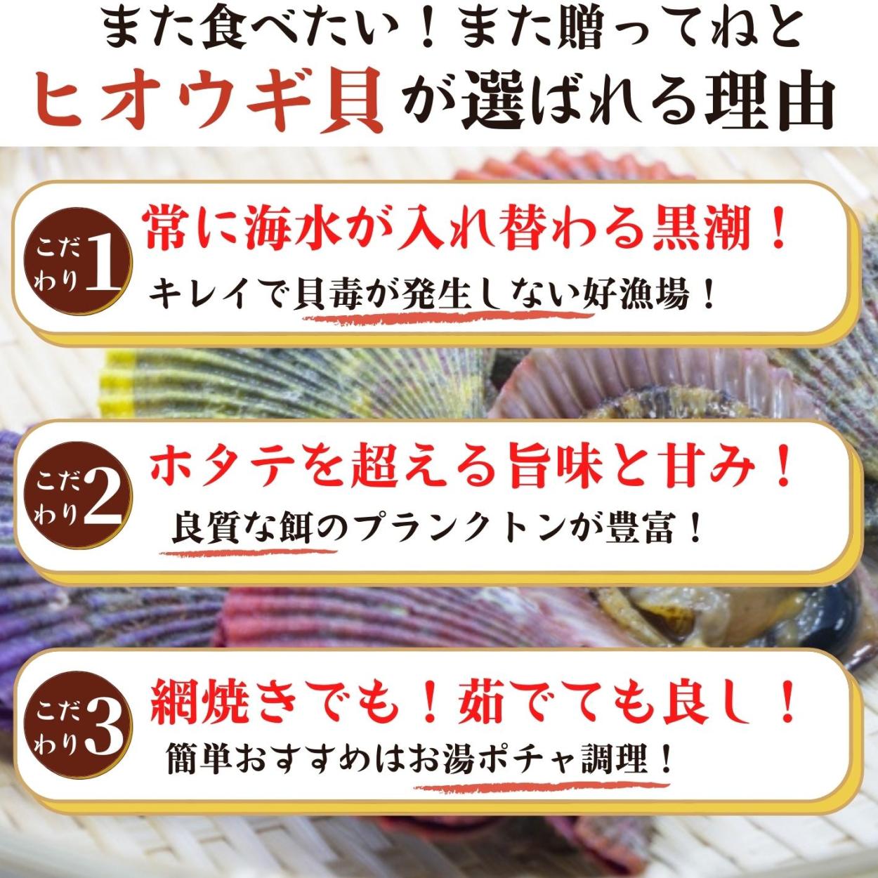 西の帆立が人気の理由