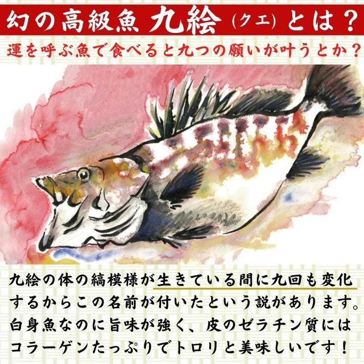 幻の高級魚九絵とは？gt;lt;brgt;lt;brgt;lt;brgt; lt;img src=