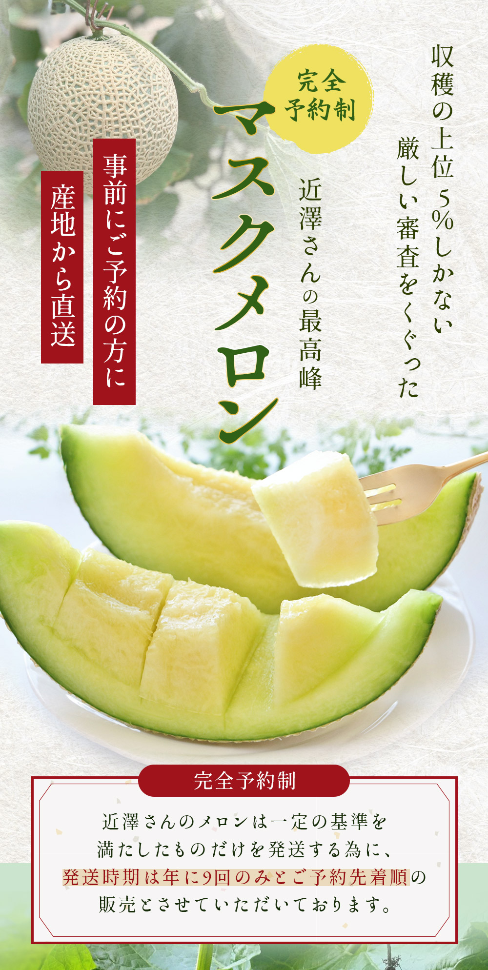 6月下旬発送】 メロン マスクメロン 高知県産 近澤さんの