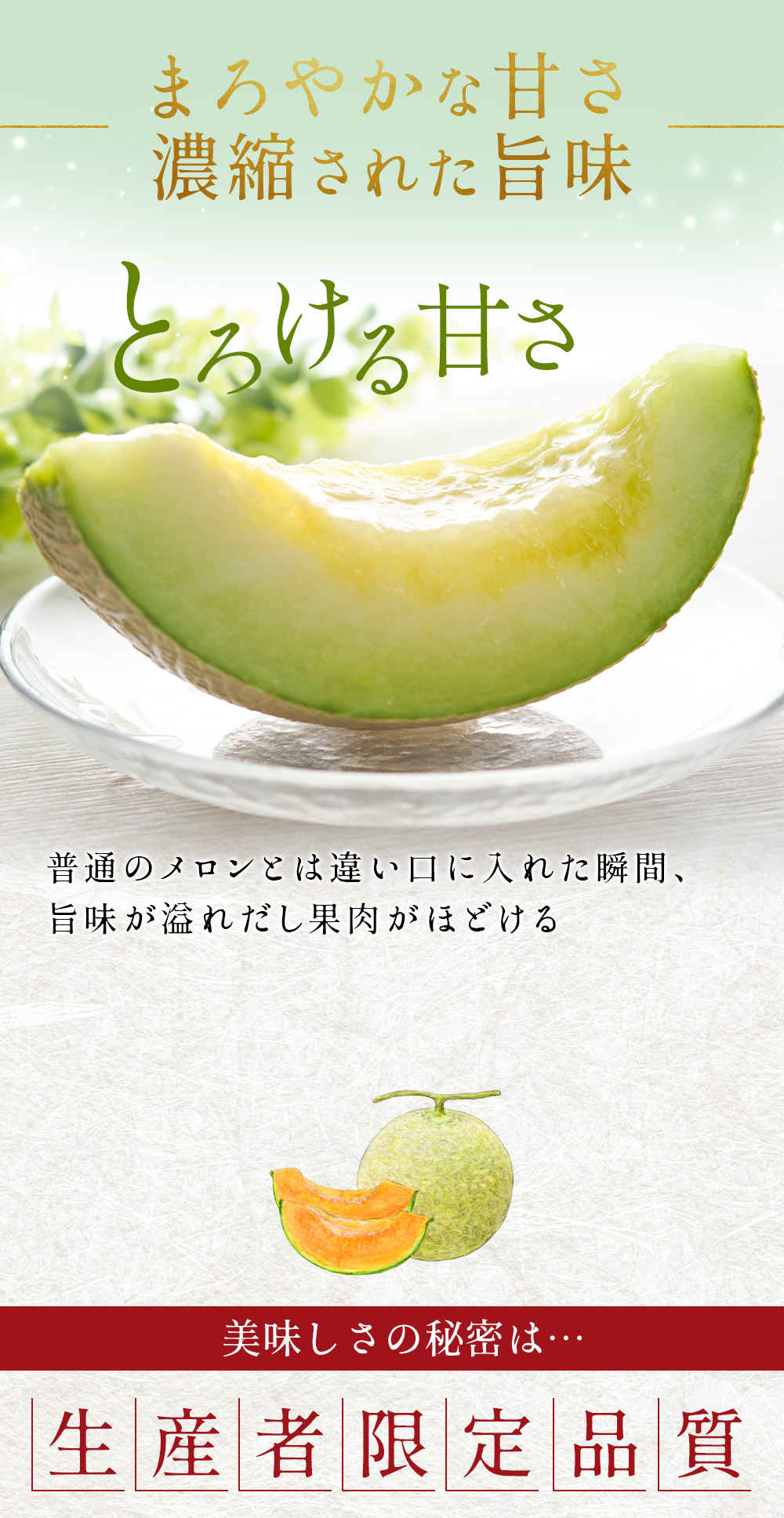 8月上旬より発送】 メロン マスクメロン 高知県産 近澤さんの