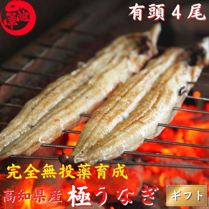 超特大うなぎ