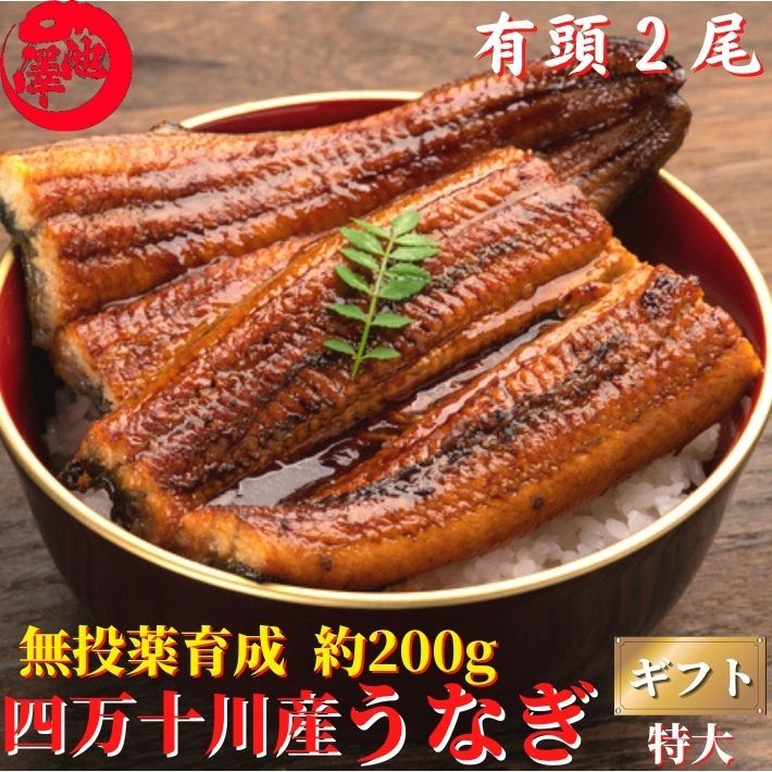 天然うなぎ