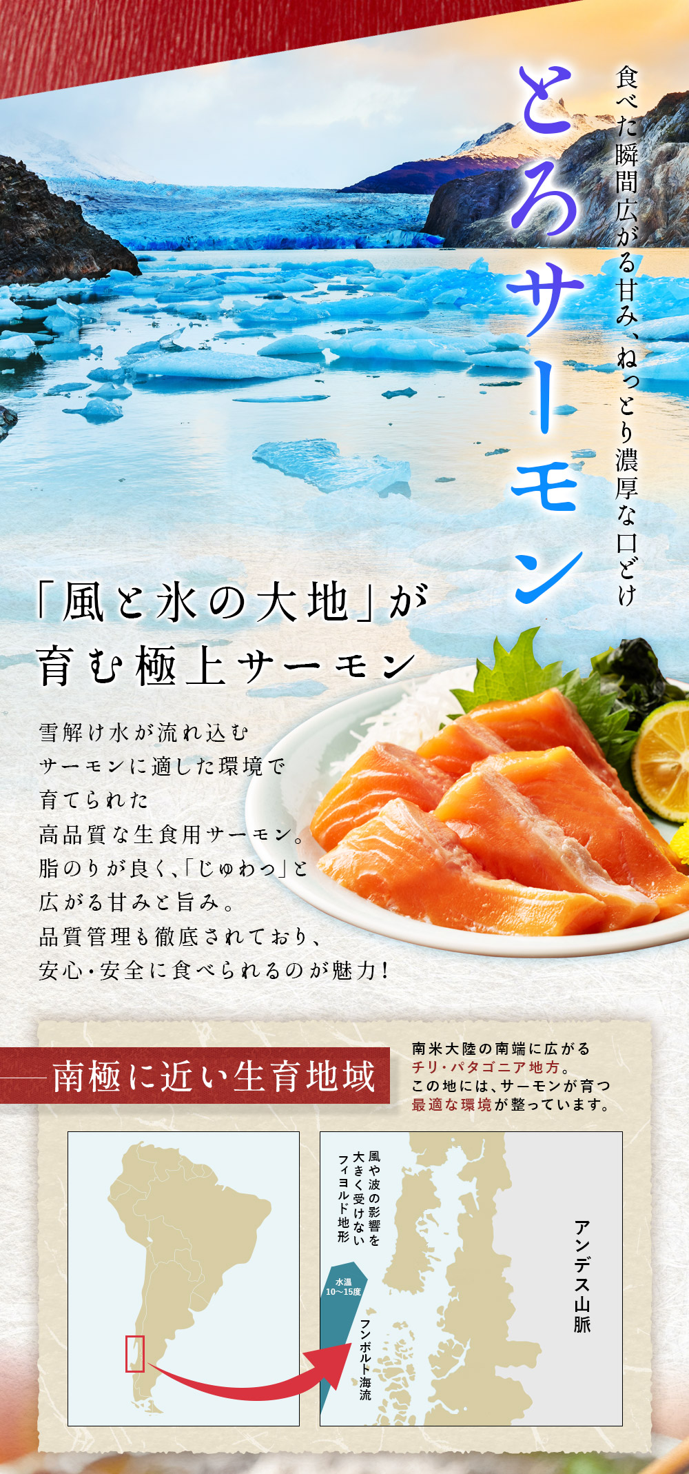 冷凍サーモン 刺身用 とろける食感 鮮度そのまま 美味しいサーモン