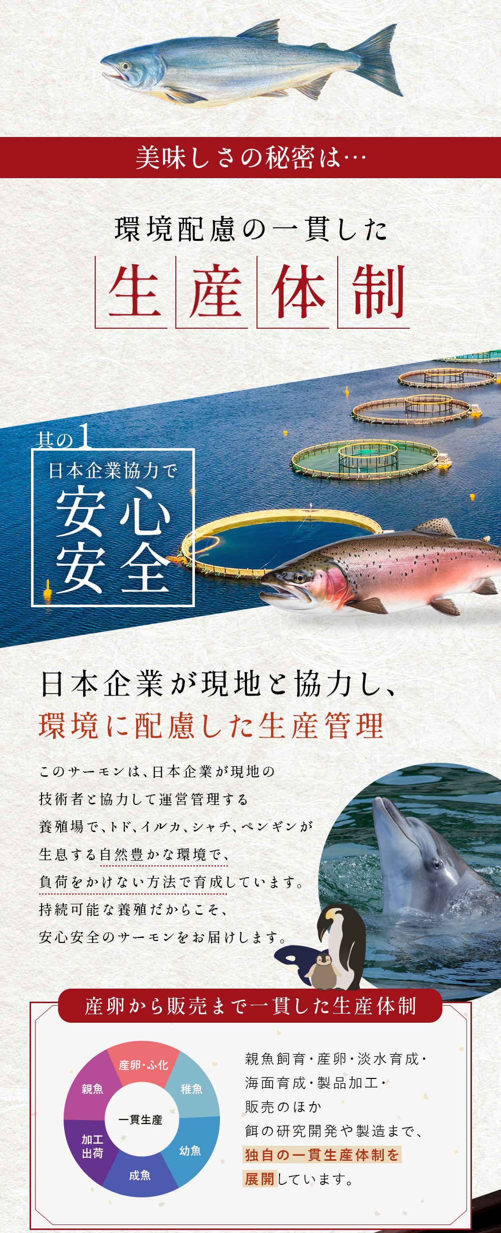 大容量サーモン 1kg 家族で楽しむ 手巻き寿司 海鮮丼にぴったり
